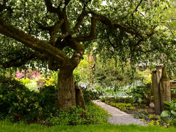 Crabapple Tree Garden