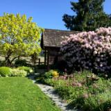 Pathway to Little Studio and Library