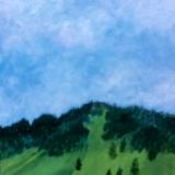 SOLD-Sauk-Mountain-Spring-Green  